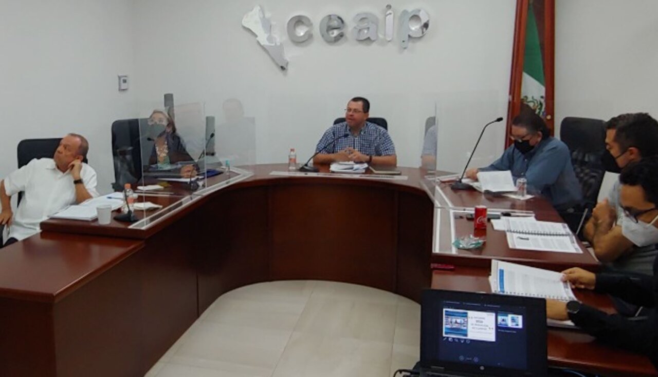 Consejo Consultivo CEAIP