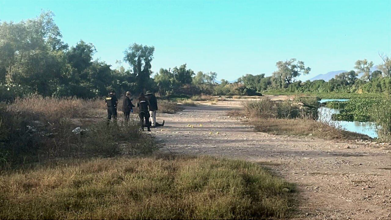 IMG-20251216-WA0197