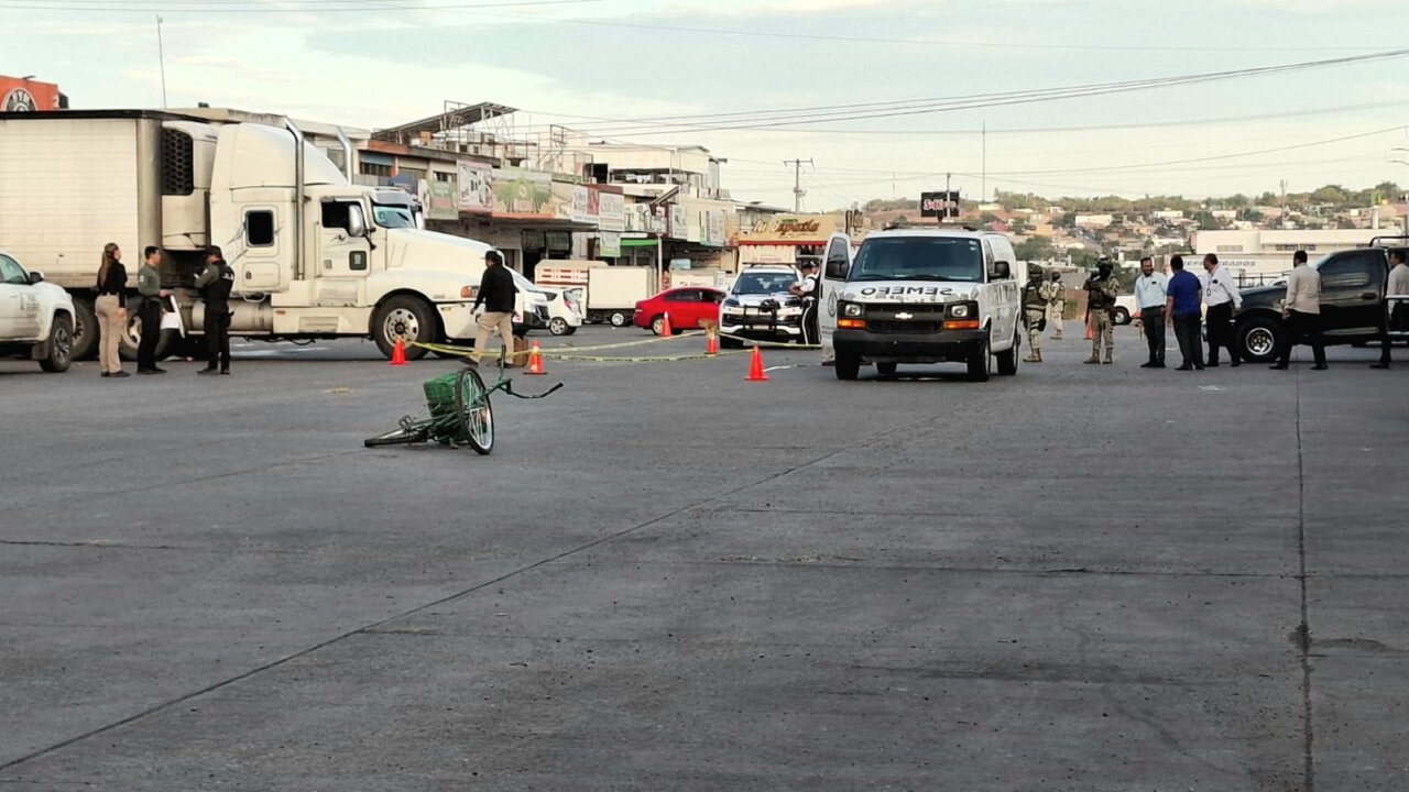IMG-20260614-WA0016
