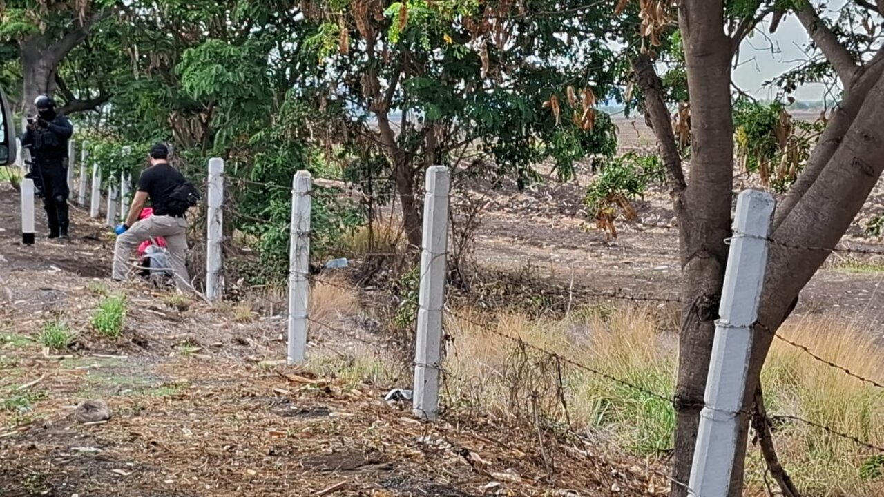 IMG-20260702-WA0033