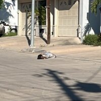 Identifican al hombre asesinado y ‘emplayado’ en plástico en la colonia Lázaro Cárdenas