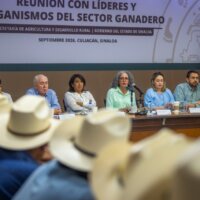 Gobernadora de Sinaloa y secretaria de Agricultura abren diálogo con el sector ganadero