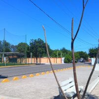‘Levantan’ a Guadalupe Ramírez, síndico de Tepuche; su hermano muere tras ser localizado herido