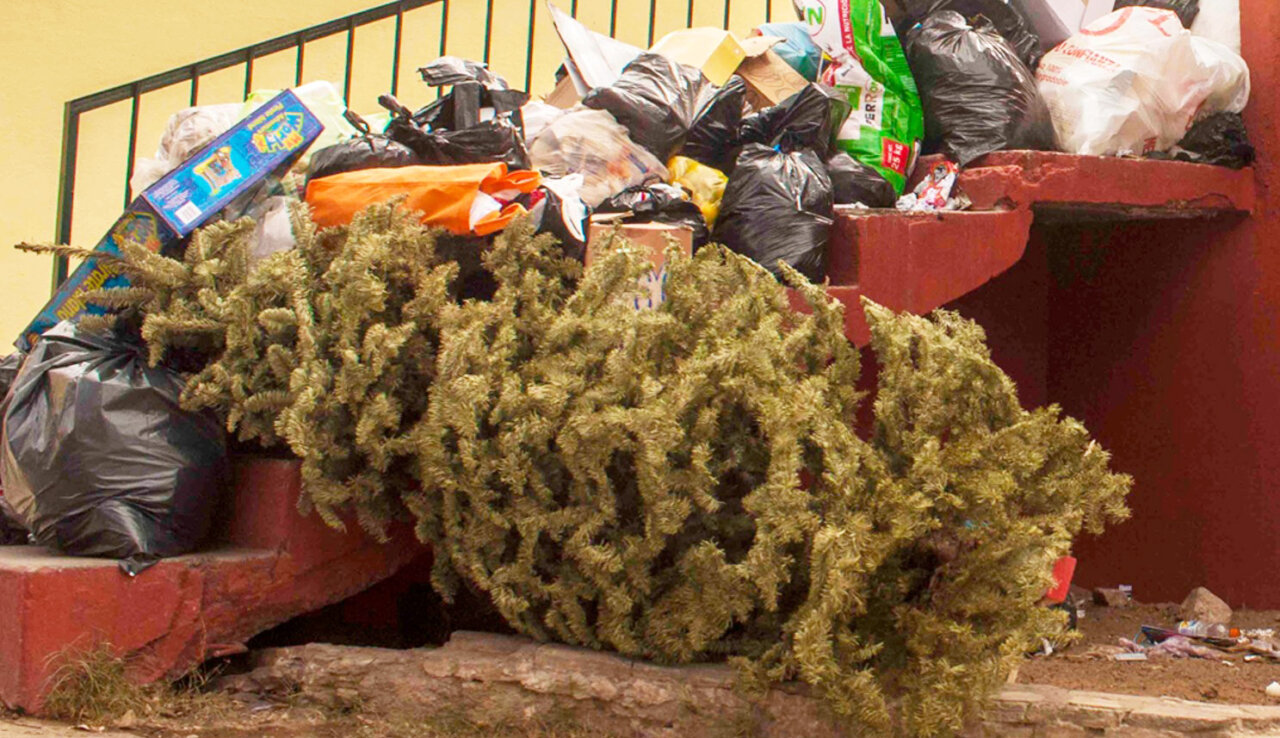 arbol de navidad en la calle