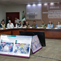 Nos encontramos listos para cualquier posible contingencia por el Huracán «Polo»: Graciela Domínguez