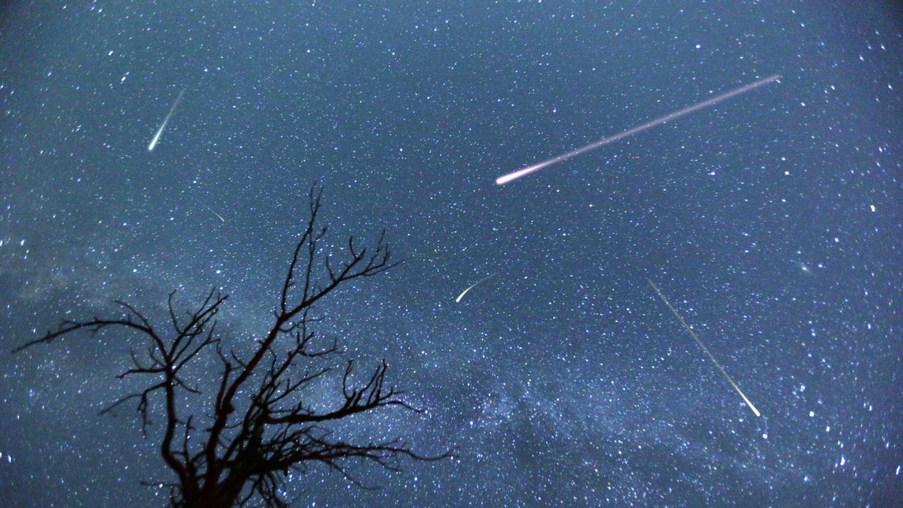 No te pierdas la última lluvia de estrellas del año