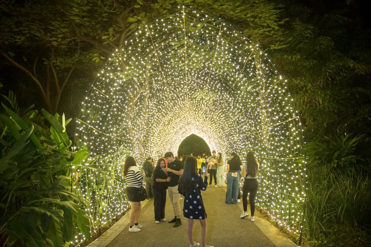 botánico luces culiacán