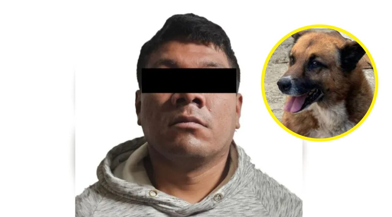 detenido lobito cdmx
