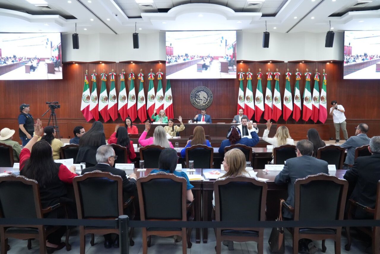 diputados locales 65 legislatura
