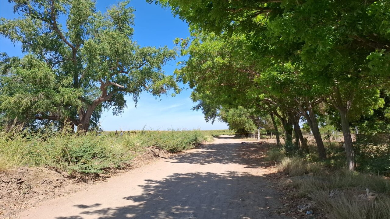 dos ejecutados san pedro