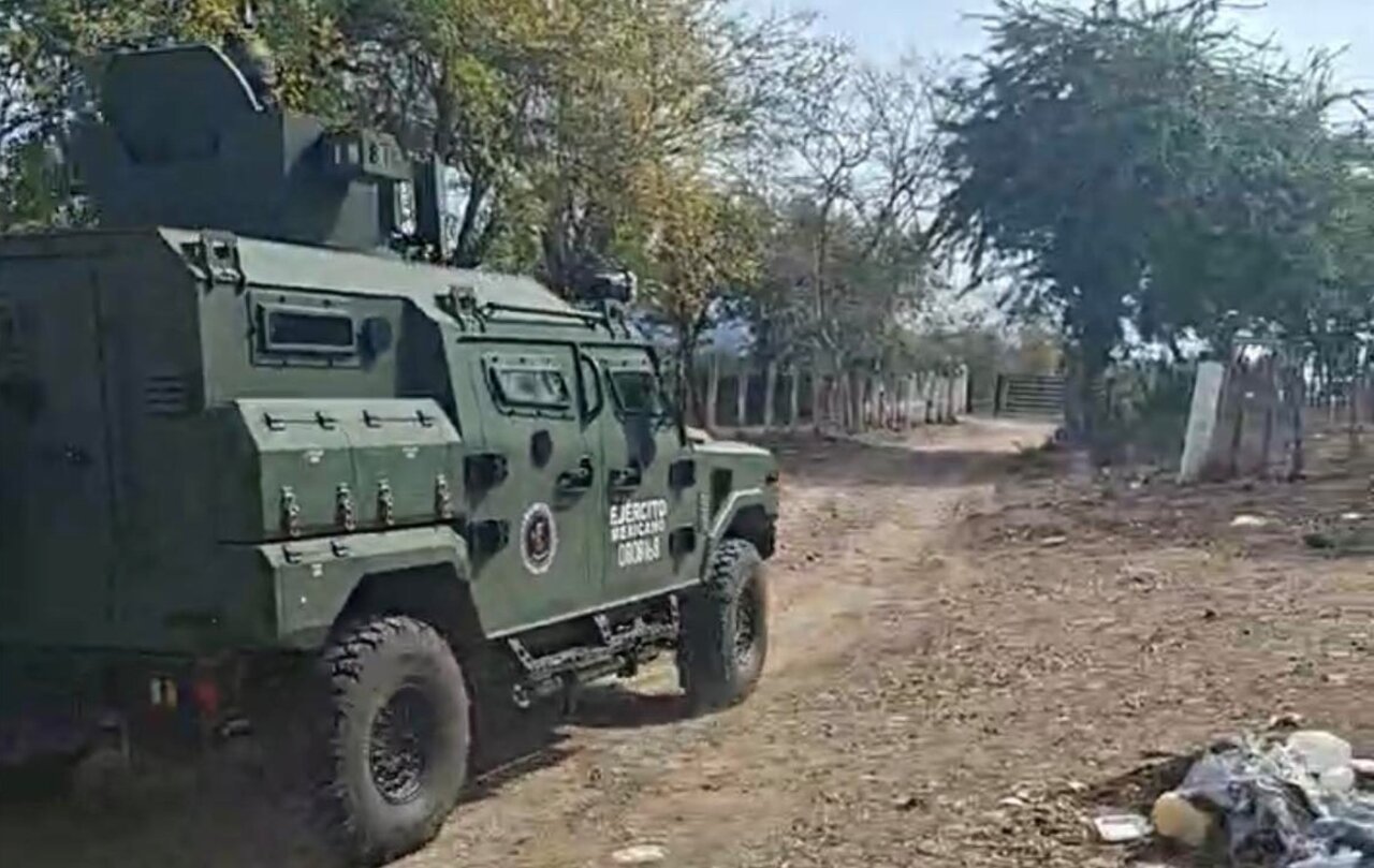el verde concordia cuerpos