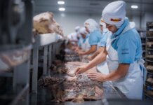 El IMSS ubicó a Sinaloa en el segundo lugar nacional en crecimiento de empleos en septiembre: Rocha