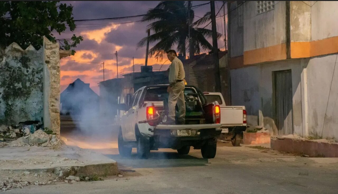 fumigación mosquito temática