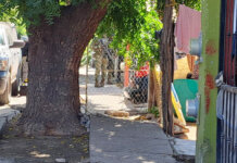 Una menor de 14 años es asesinada y otra mujer es lesionada en el sector Santa Rocío, Culiacán