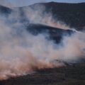Más de 250 mil personas huyen por incendios forestales en Francia y España. Foto AP