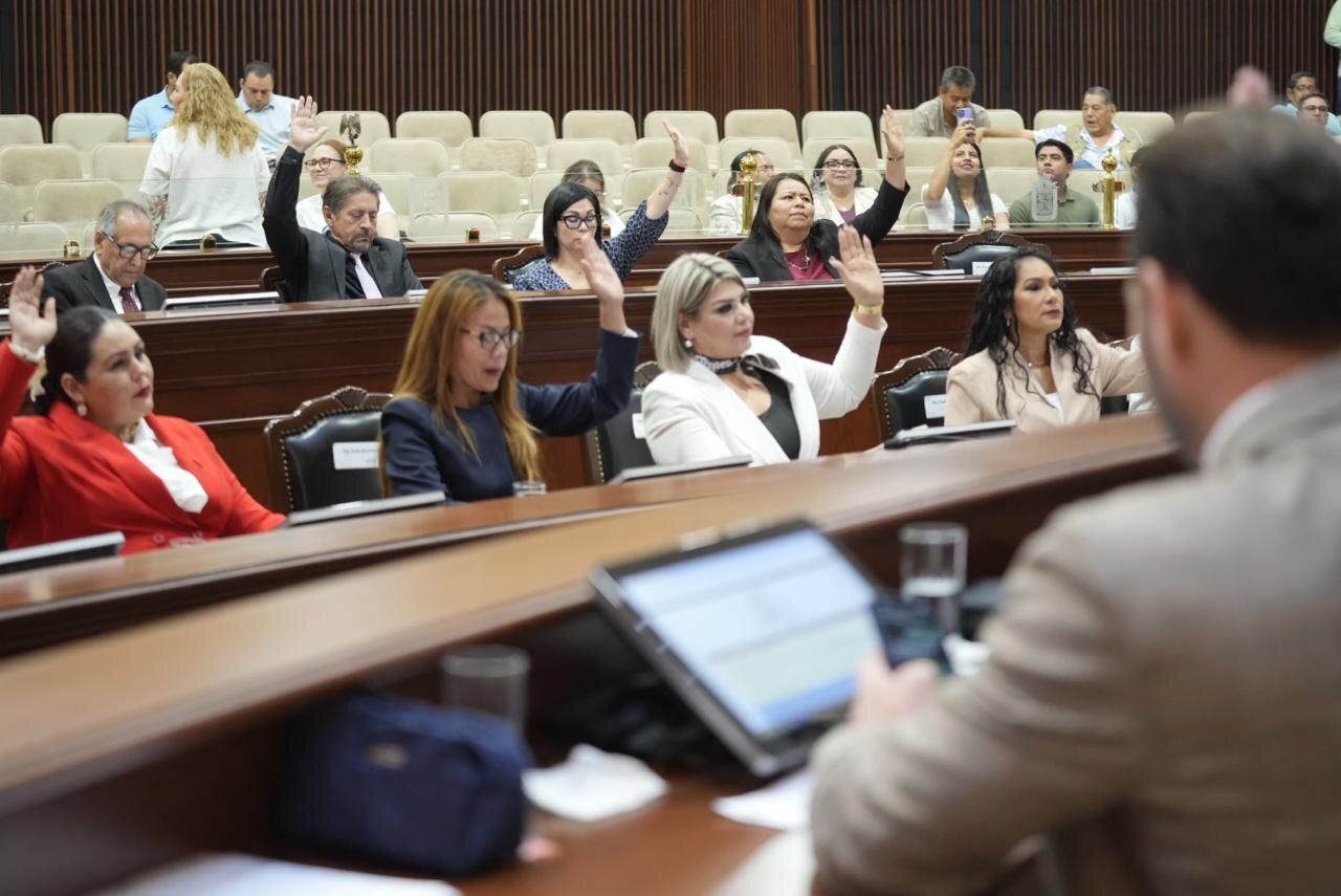 Aprueba Congreso permiso de paternidad por nacimiento y adopción en Sinaloa Aprueba Congreso permiso de paternidad por nacimiento y adopción en Sinaloa