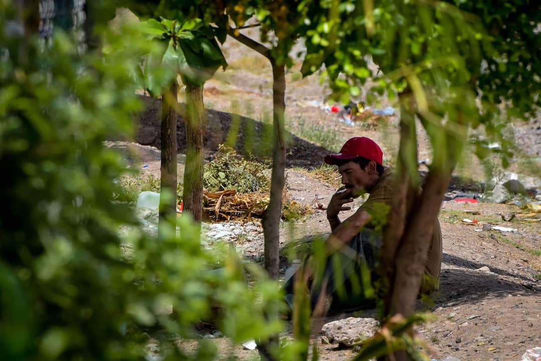 migrantes culiacán