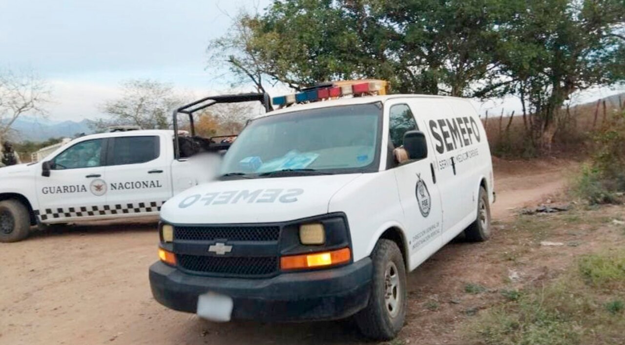 mineros fosas concordia