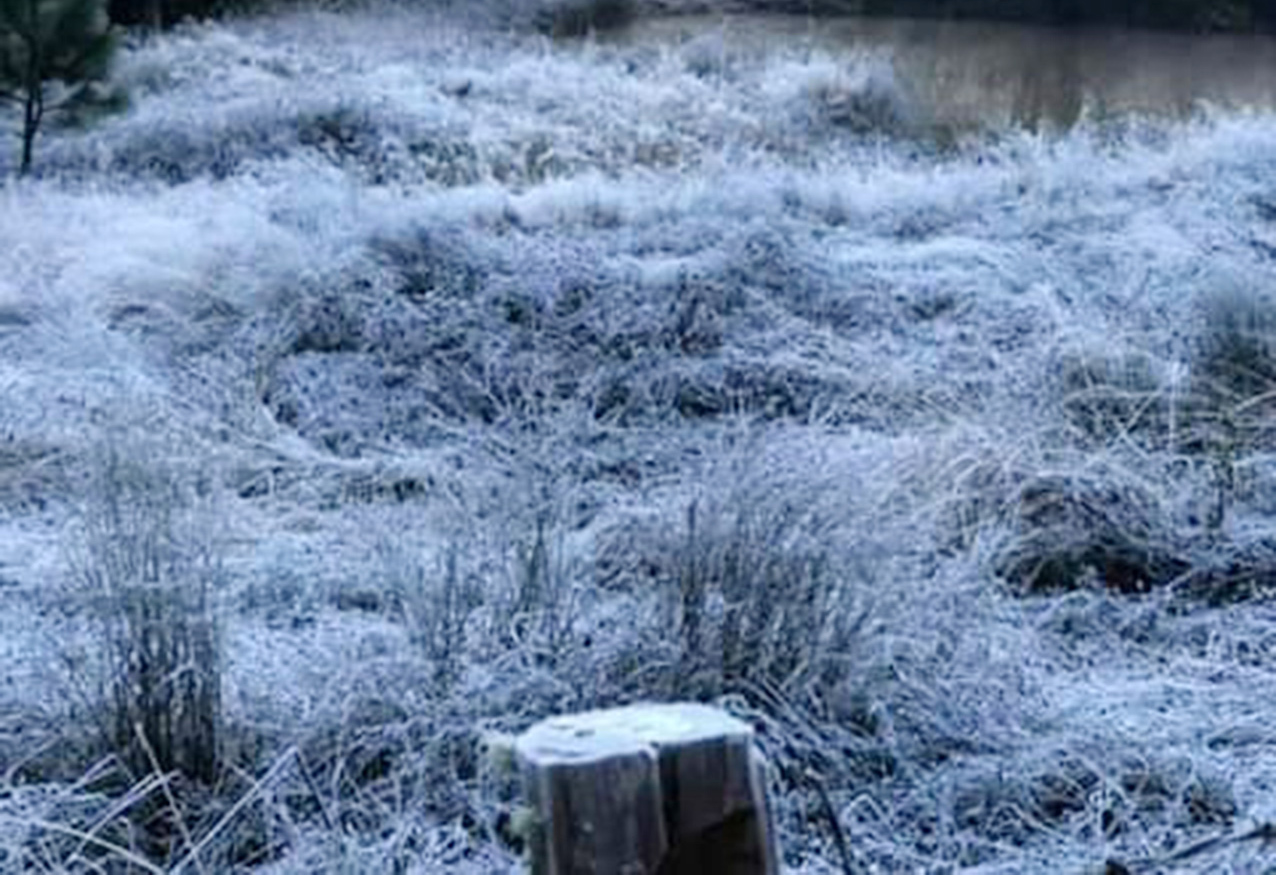 nieve en la sierra