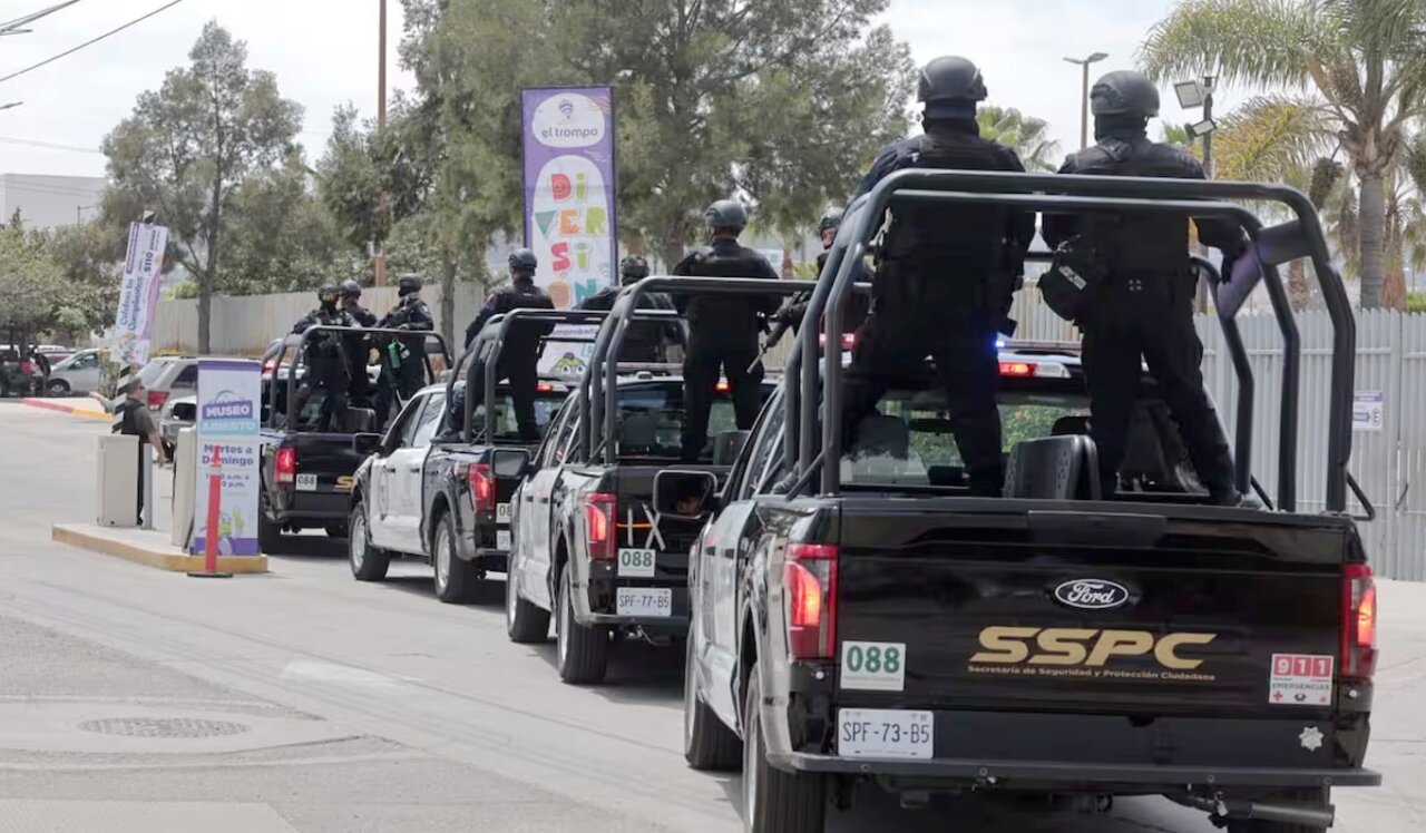 policías federales harfuch temática