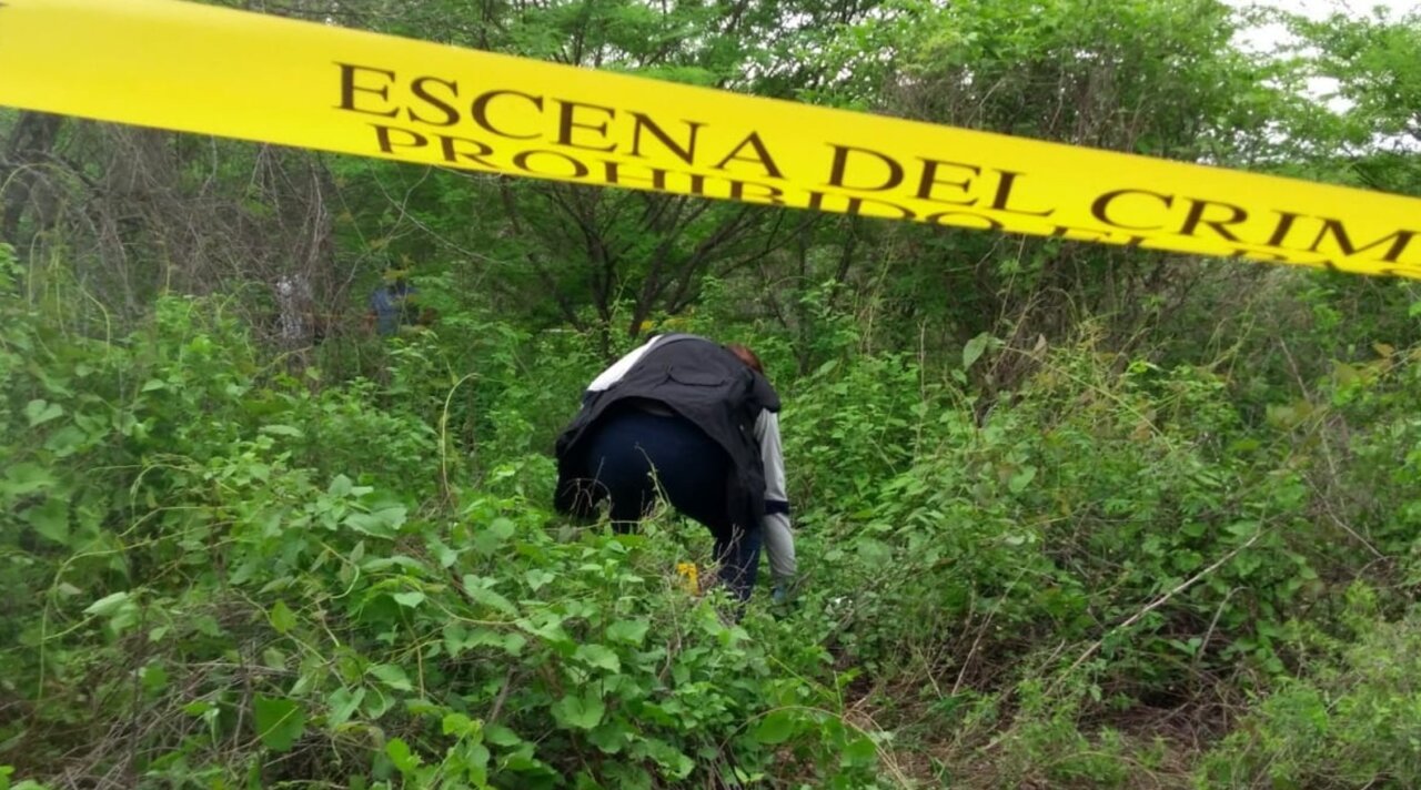 restos humanos temática