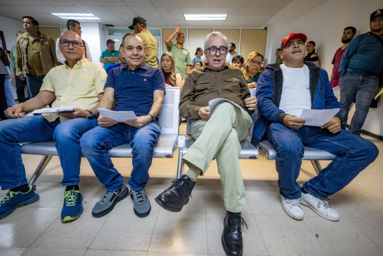 rocha licencia
